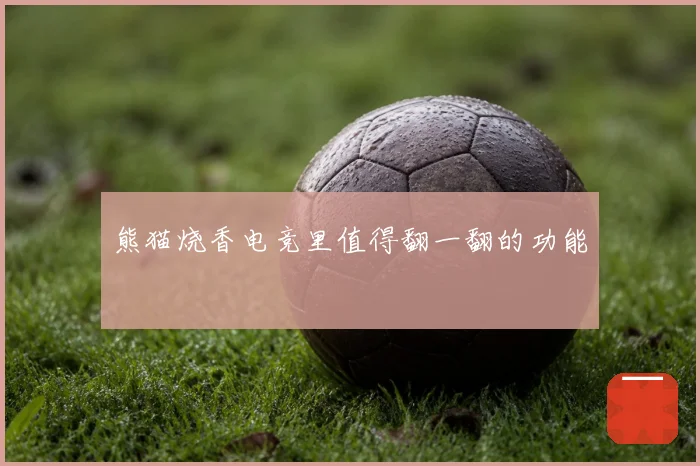 熊猫烧香电竞里值得翻一翻的功能
